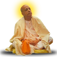 Prabhupada Japa Box